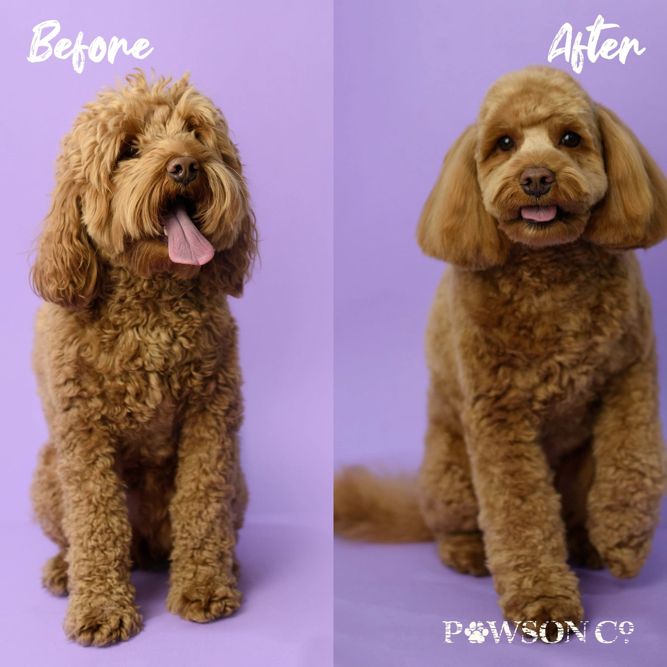 Viori Beauty Pet Shampoo