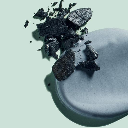 Davids Natural Toothpaste - Charcoal+Peppermint (Travel)