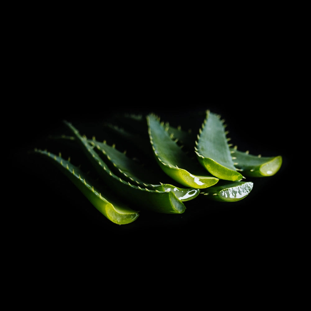 Viori Beauty Body Wash Soap Bar