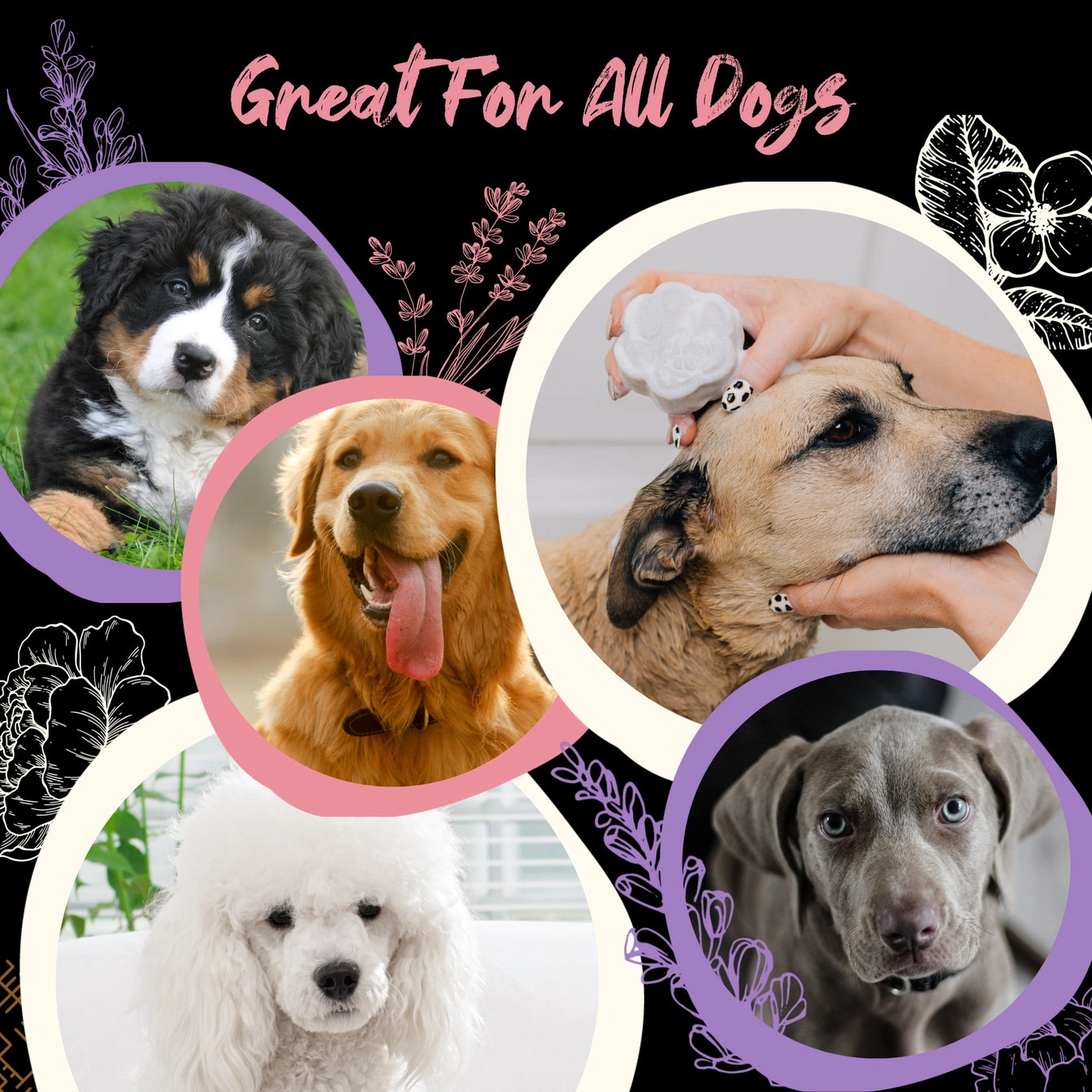 Viori Beauty Pet Shampoo